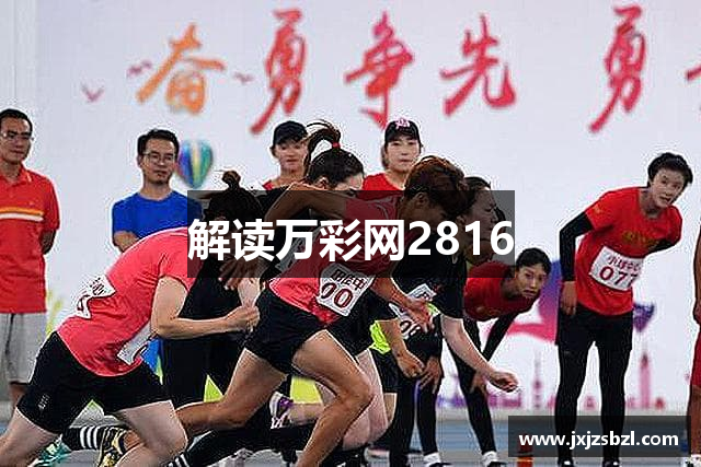 解读万彩网2816